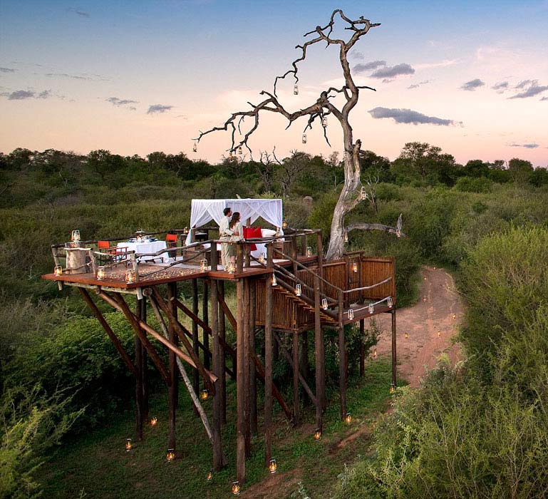 Hotel en árbol en Sudáfrica atrae a turistas en busca de emociones 5
