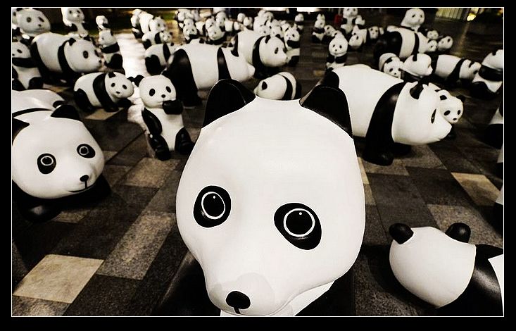 Exposición de 'Pandas' para concienciar sobre la protección del medio ambiente
