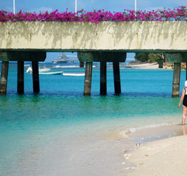 Barbados será sede de celebración de Día Mundial del Medio Ambiente 2014