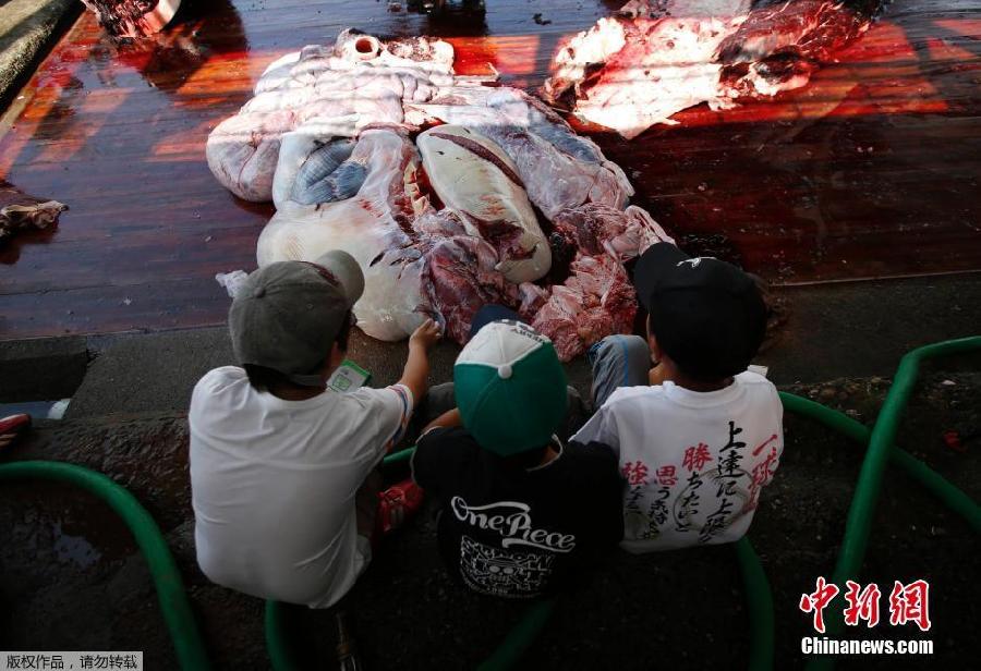 Japón inicia la campaña de caza de ballenas en el Pacífico Norte