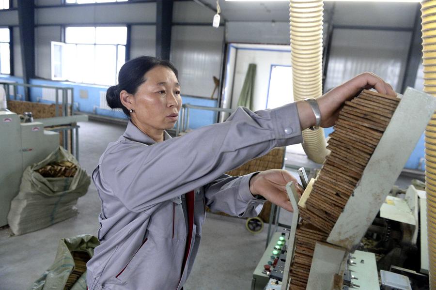 Una trabajadora fabrica lápices en la aldea Yuanbao, Heilongjiang. En la aldea hay más de 30 empresas productoras de lápices.[Foto/Xinhua]
