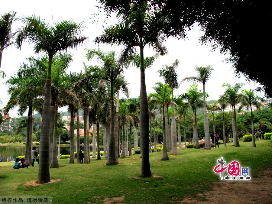 Universidad de Xiamen: El campus más bonito China