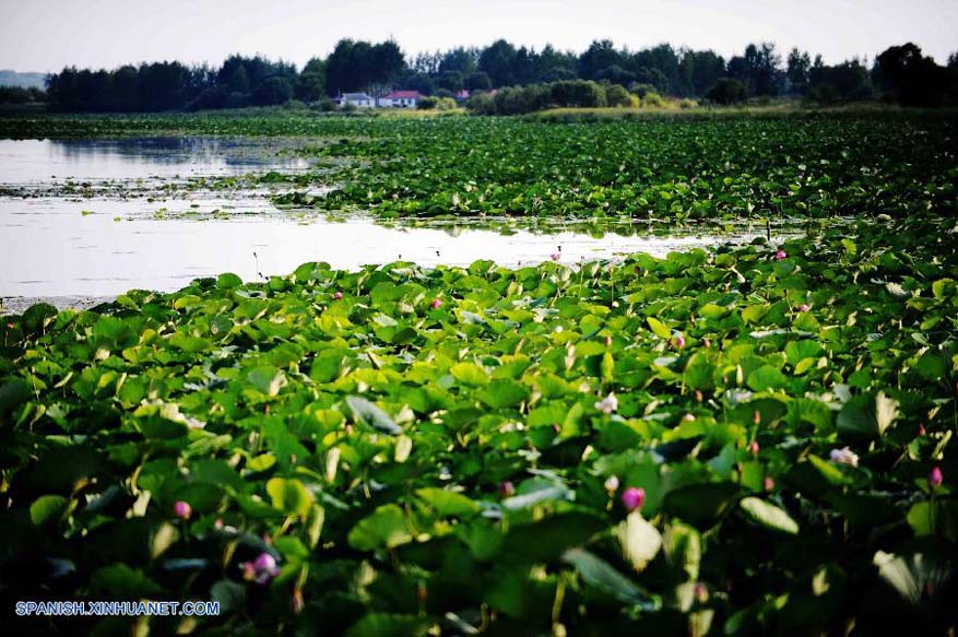 Heilongjiang: Bello paisaje de Lago Yueya en Hulin 