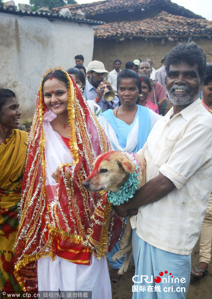 Niña india se casa con un perro callejero para evitar una maldición