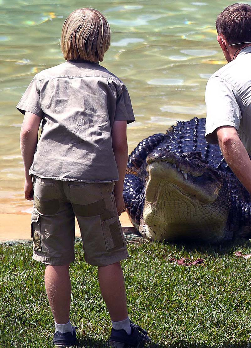 Un niño australiano de 10 años se enfrenta con un cocodrilo