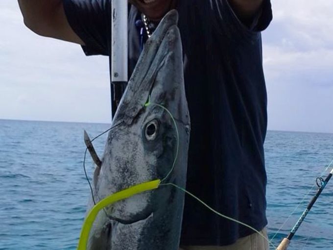 Seres extraños en el mar de las Bahamas 