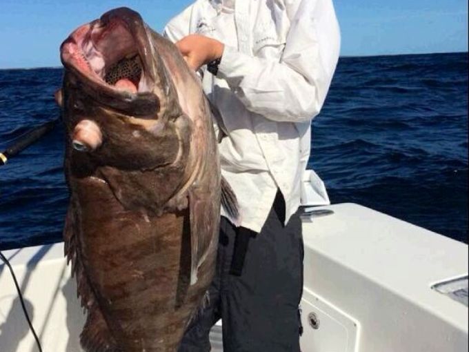 Seres extraños en el mar de las Bahamas 2