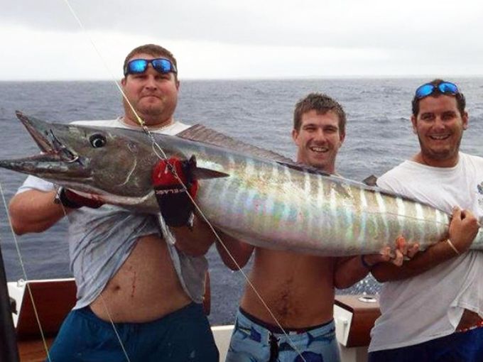 Seres extraños en el mar de las Bahamas 