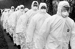 CEPCE evaluá nuevamente riesgo de transmisión de ébola en Europa
