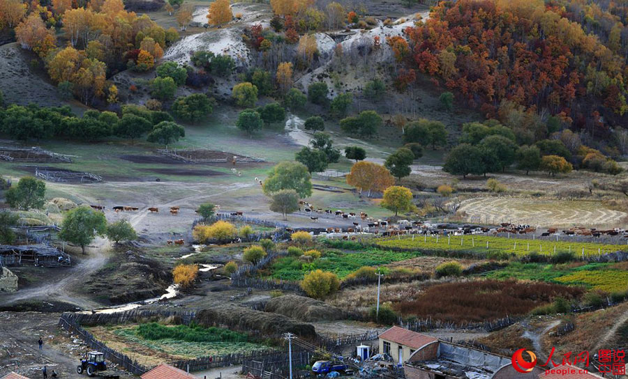 Gentil otoño en Hongshan 