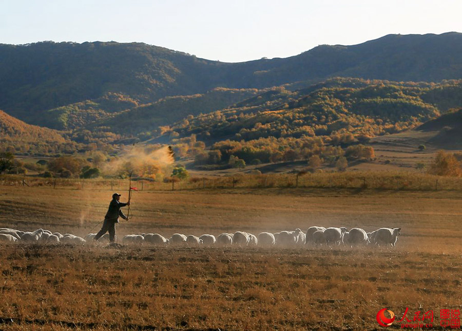 Gentil otoño en Hongshan 