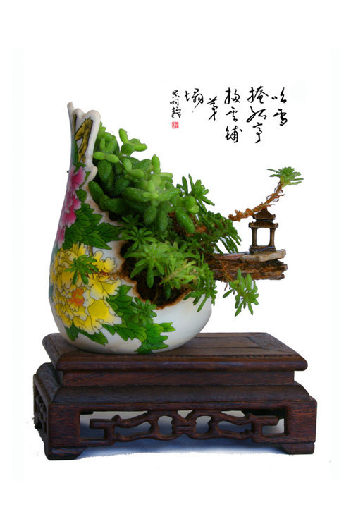 Increíble bonsai de porcelana en Gansu