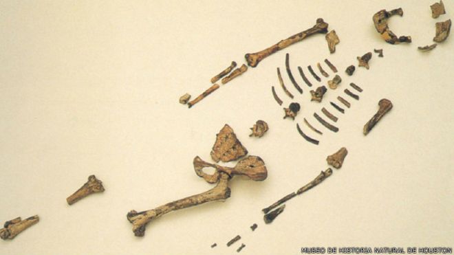 Lucy, el fósil a mitad de camino entre los simios y los humanos