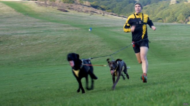 Canicross: la competencia que te pone a correr como un perro