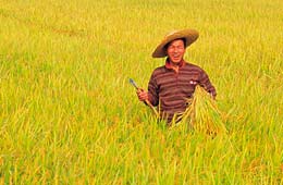 COP20: Pequeños agricultores plantean ser protagonistas para enfrentar calentamiento global
