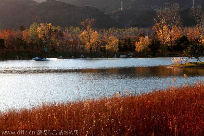 Una lancha hace un tour en el lago Yanqi en Pekín, el 12 de noviembre de 2014. [Foto/IC]
