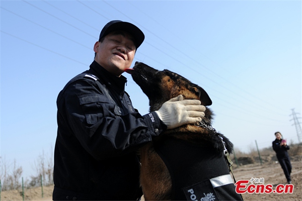 Perros policía se preparan para el éxodo de año nuevo chino