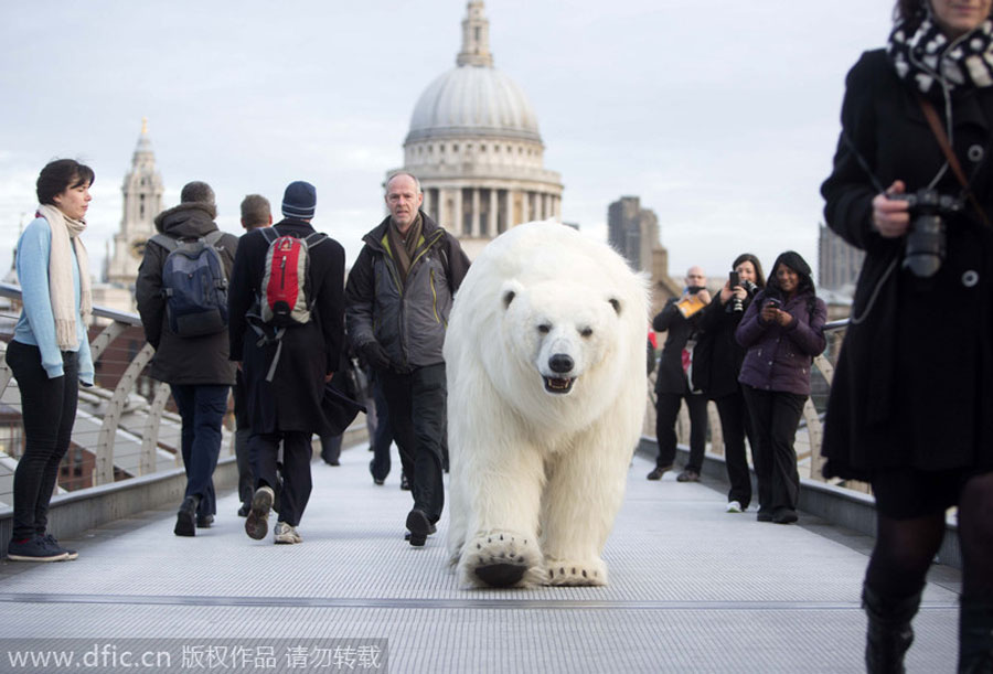 El oso polar cruza el puente Milenio de Londres. [Foto/IC]