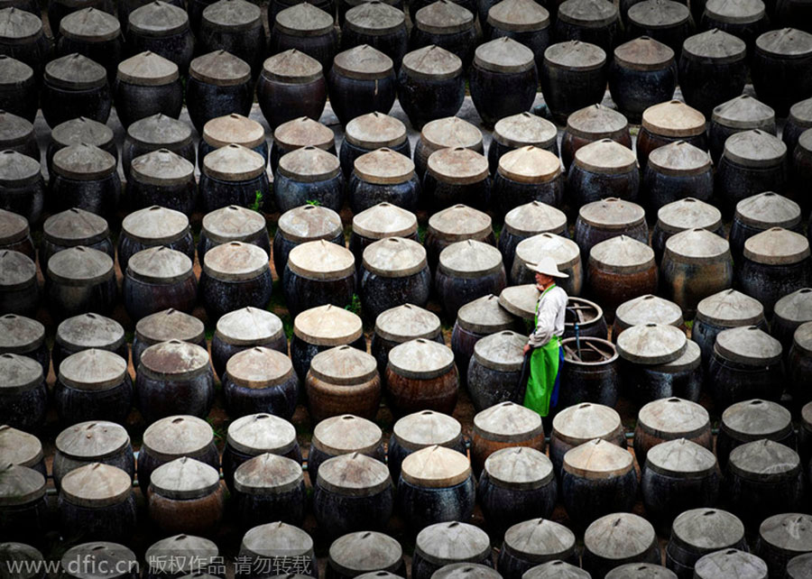 Un trabajador comprueba cada barril de pepinillos conservados en salsa en una fábrica en Xiapu, provincia de Fujian, el 26 de mayo de 2013. [Foto/IC]