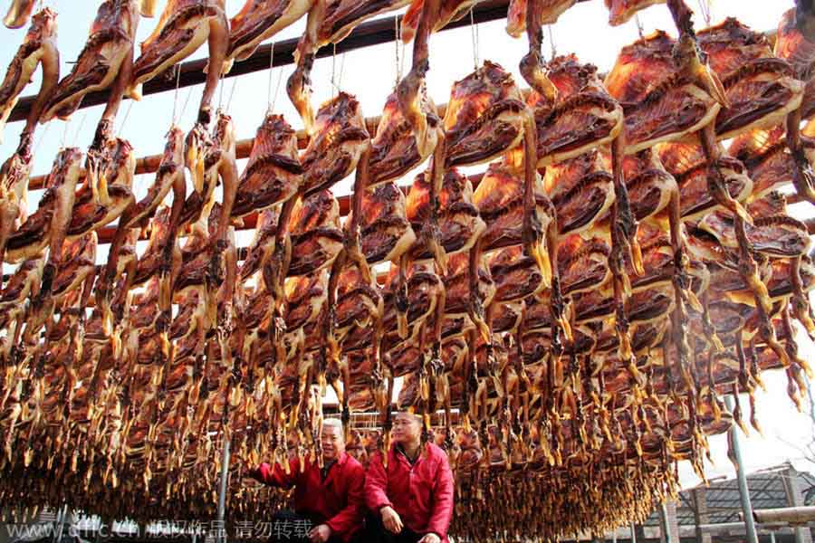Trabajadores chinos examinan los patos que cuelgan para que la carne se cure en una fábrica de Suichuan, provincia de Jiangxi, el 15 de enero de 2013. [Foto/IC]