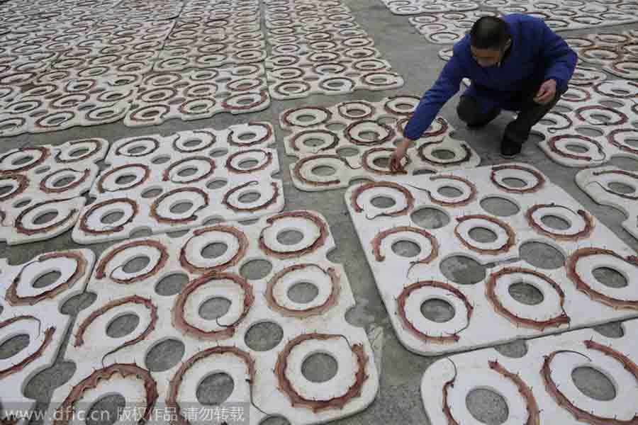 Un granjero comprueba las serpientes que se secan al aire libre en la aldea de Zisiqiao, provincia de Zhejiang, el 29 de enero de 2013. La carne de serpiente seca se utiliza para distintos platos y medicamentos tradicionales. [Foto/IC]