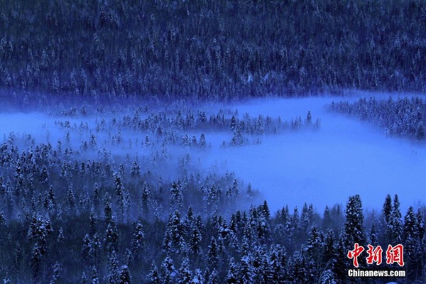 El bosque cercano a Kanas, cubierto por la niebla y la nieve, mostrando una imagen de cuento de hadas. [Foto/Chinanews.com]