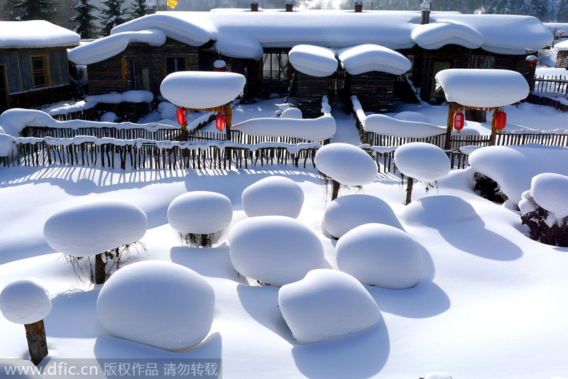 Imagen de una granja nevada en el bosque Shuangfeng de la ciudad Mudanjiang en la provincia de Heilongjiang, el 17 de diciembre de 2012. [Foto/IC]