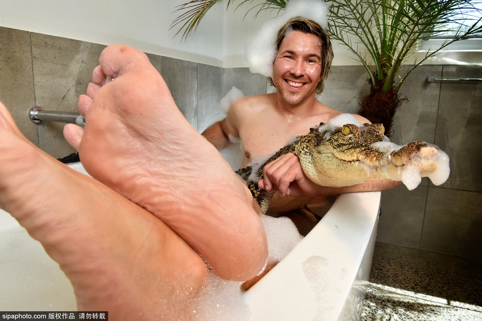 Zoólogo comparte la bañera con cocodrilo