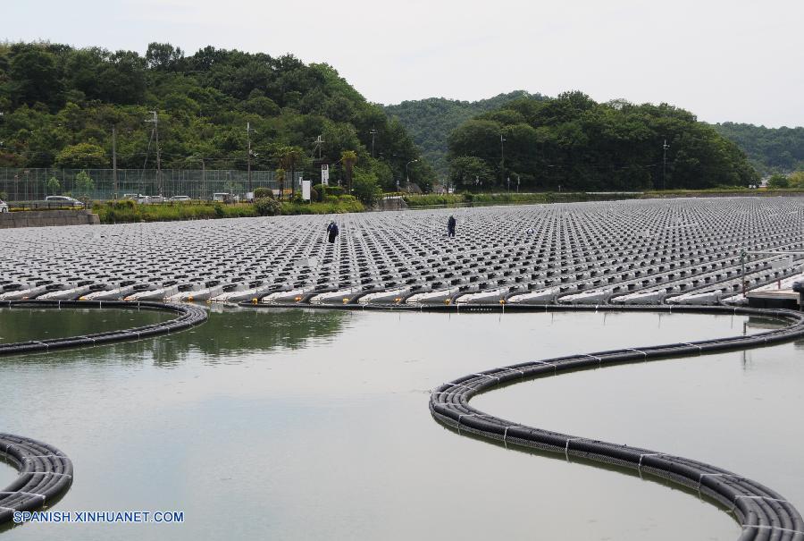 Termina construcción de planta de energía solar flotante en Japón