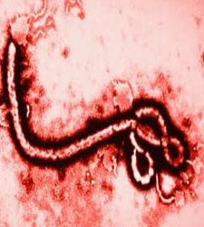 Dos medicamentos comunes muestran propiedades para prevenir el ébola