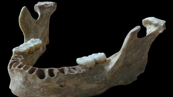 Hallan fósiles humanos con un 10% de genes de neandertal