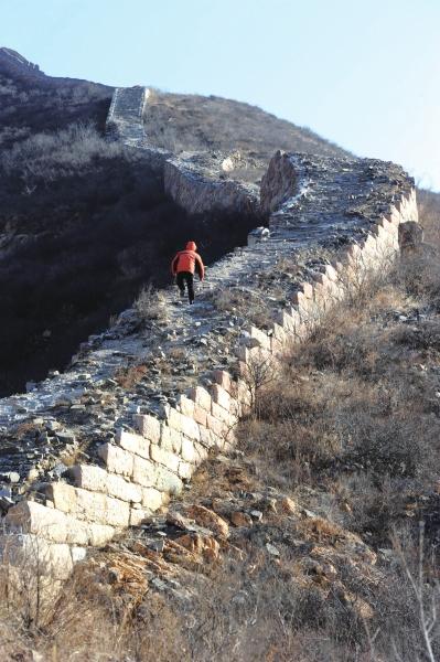Foto muestra a Mei Jingtian, vigilante de la Gran Muralla, inspeccionando una sección deteriorada de la Gran Muralla. [Foto de archivo: Beijing Times]
