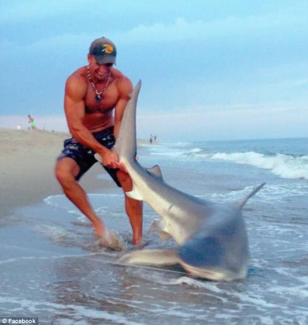 Un hombre se hace famoso en Internet por capturar tiburones con sus propias manos 11
