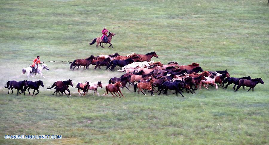 caballos en praderas en Condado Baoligen de Xilinhot 5