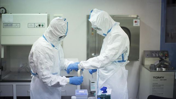 Científicos encuentran especificidades genéticas del ébola