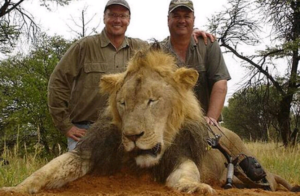 Dentista estadounidense es acusado de matar al león más querido de Zimbabue