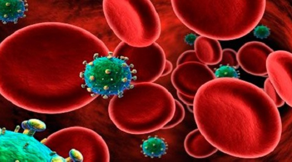 Científicos encuentran la forma de "expulsar" el VIH de las células infectadas
