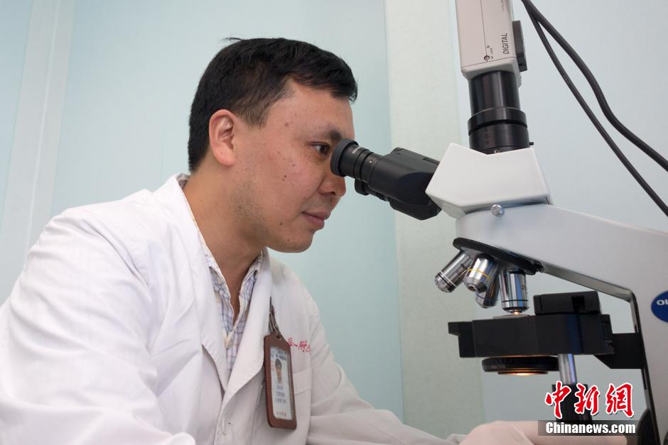 Miembro del personal examina la calidad de los espermatozoides en el laboratorio. (CNS/HuangWeiming)