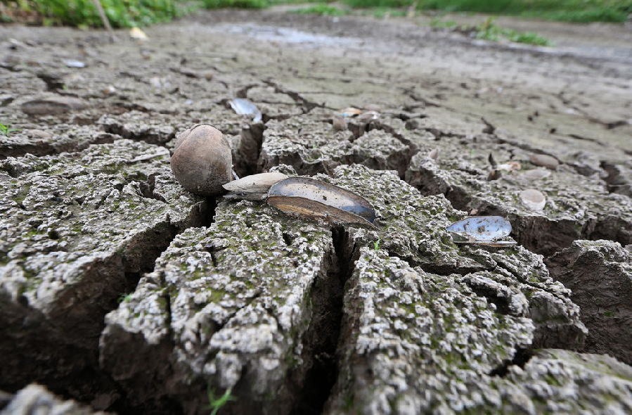 Tailandia sufre una sequía inusual