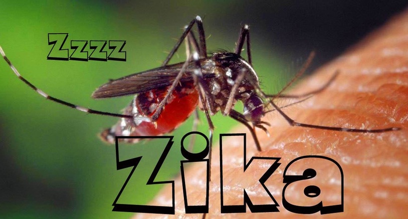 Ecuador emita alerta epidemiológica para evitar introducción de virus Zika