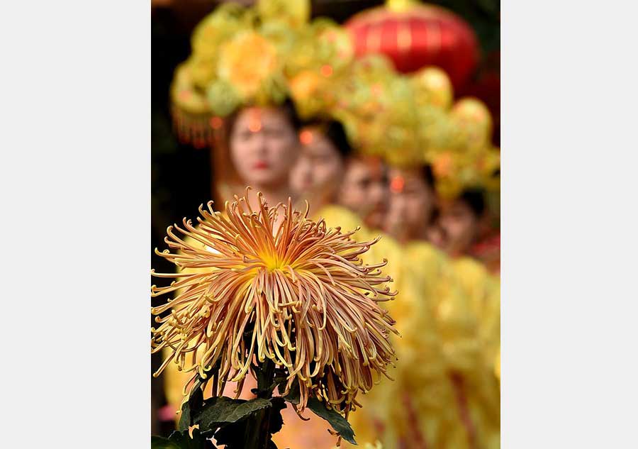 Millones de crisantemos adornan la ciudad de Kaifeng