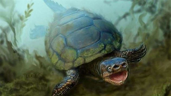 Descubren una especie extinta de tortuga con nariz de cerdo