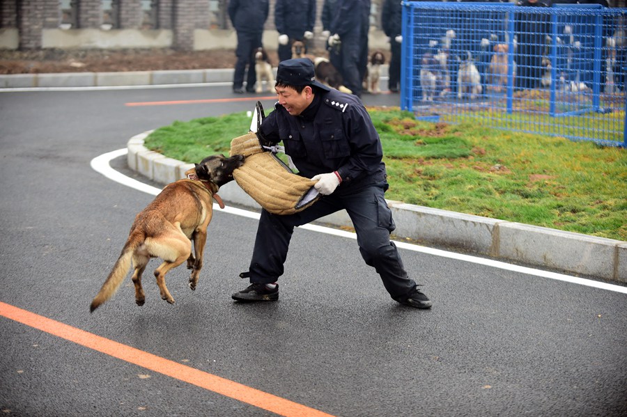 Abre la base de entrenamiento de perros policía en Shenyang