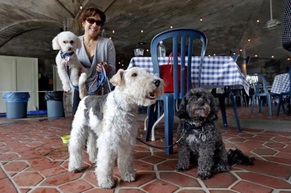 Arthur Conan Doyle Para exponer robot Nueva York permite que los perros puedan entrar en restaurantes