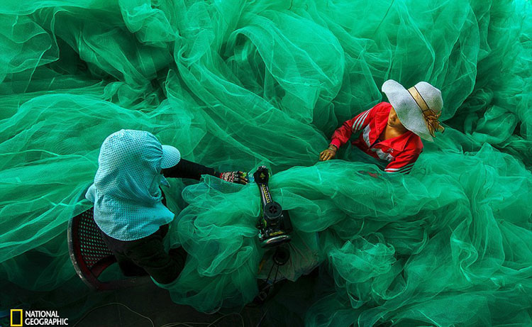 Obras maravillosas del Concurso de la Fotografía de National Geographic 2015