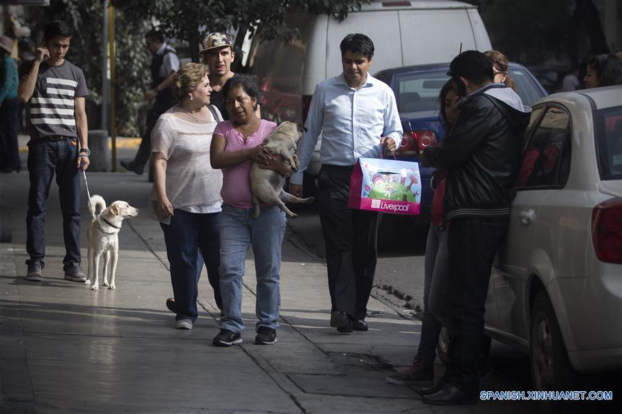 Sismo de 5,4 grados Richter sacude sur de México