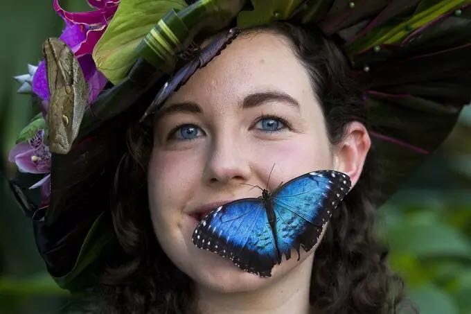 El florido sombrero que atrae a las exóticas mariposas del jardín Wisley