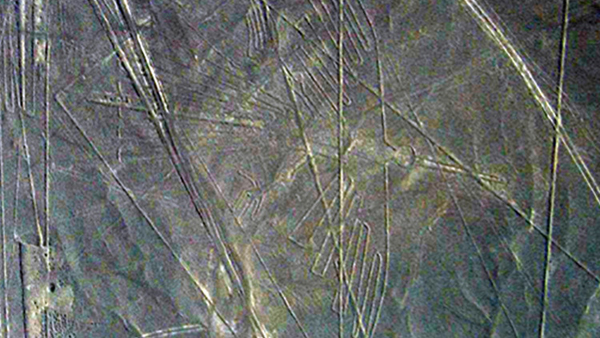 Publican nuevas imágenes de las líneas de Nazca