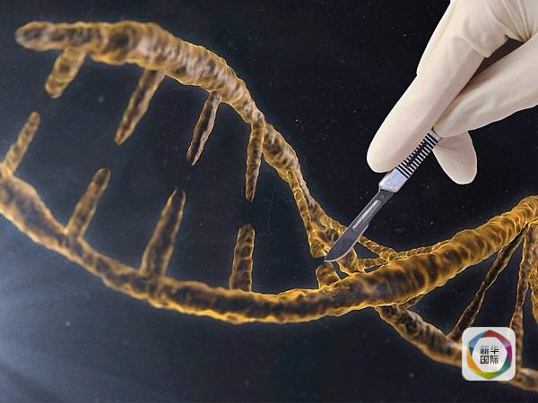 Reino Unido autoriza la modificación genética de embriones humanos