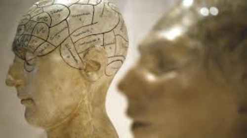 Desmienten el principal mito sobre el cerebro